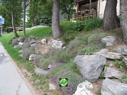 ���������, �������� (Leukerbad) ���� 2011
