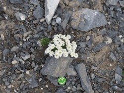 ���������, ��������� (Leukerbad) ���� 2011