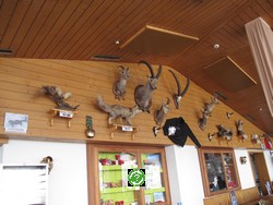 ���������, ��������� (Leukerbad) ���� 2011