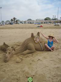Марокко. Агадир. Пляж. Camel