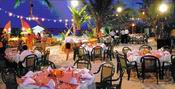 ����������  - ������  ������  ����������!